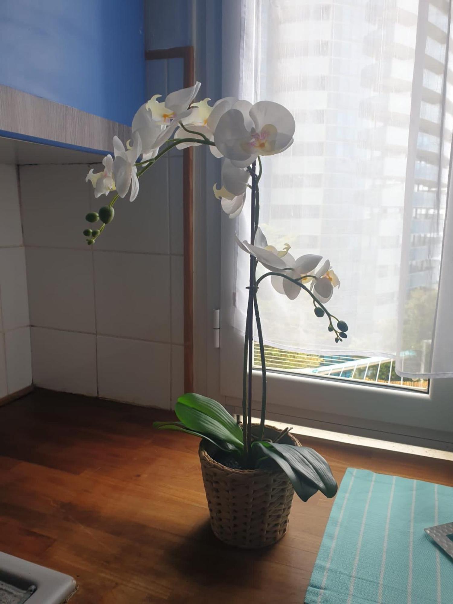 Villa Angelina 보솔레이 외부 사진